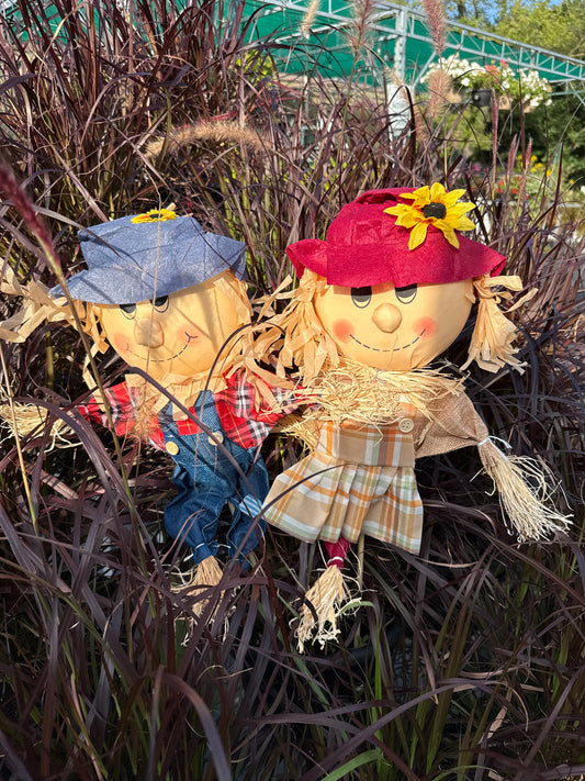 Garden Scarecrow