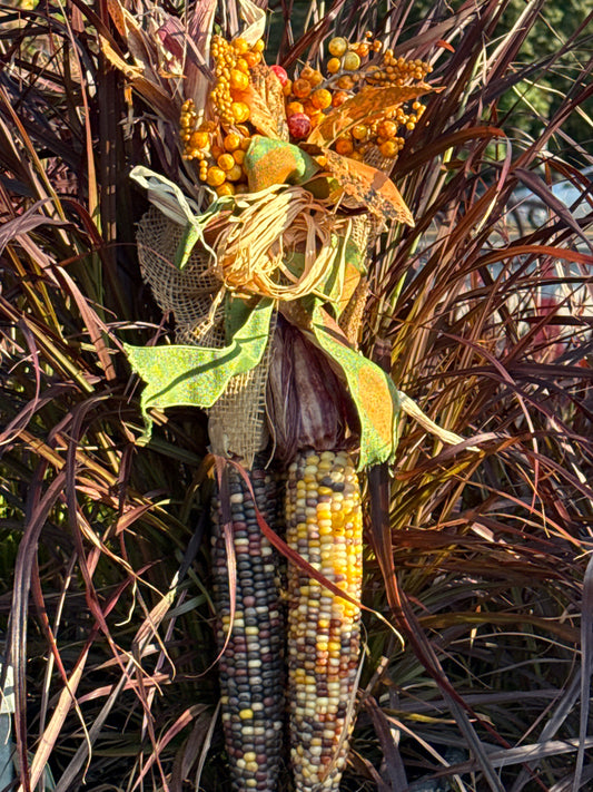 Decorated Ornamental Corn