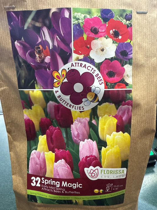 Spring Magic Mix (32 bulbs)