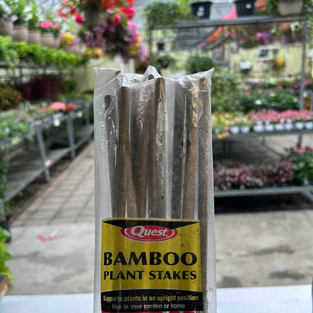 Bamboo Stakes