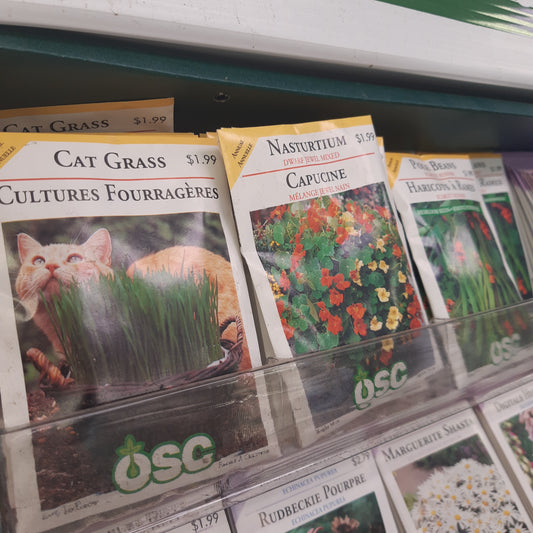 Seed Packets - Annuals