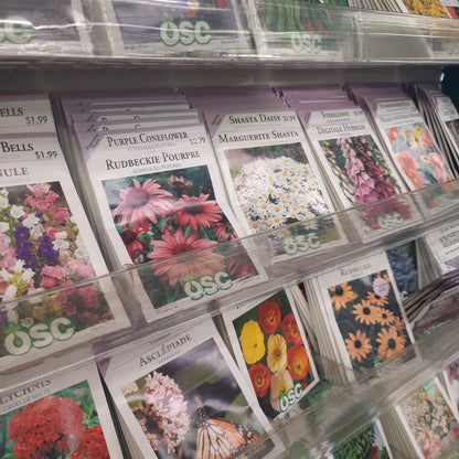 Seed Packets - Perennials