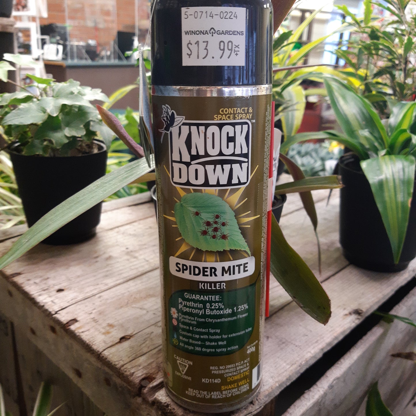 Knock Down Spider Mite Killer