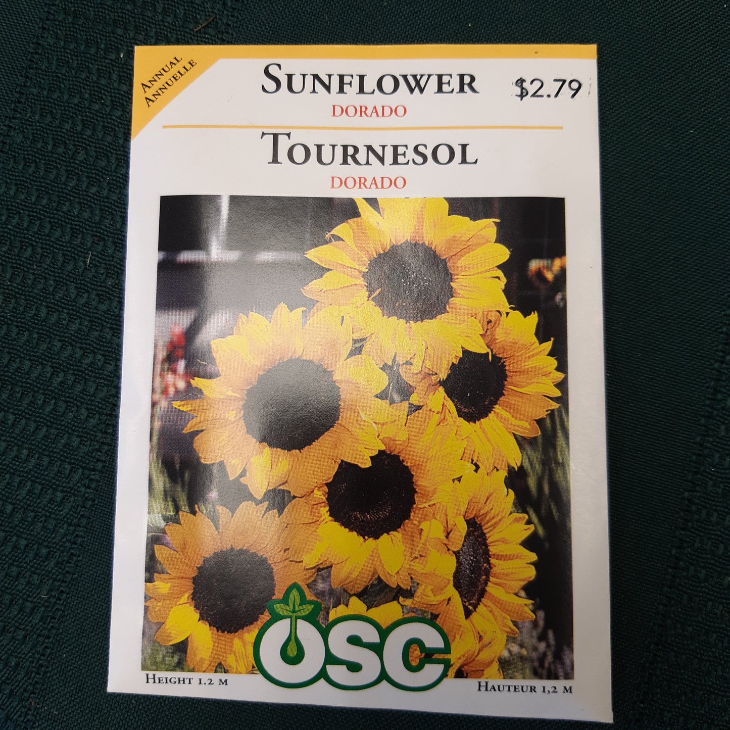 Seed Packets - Annual (Sunflower)