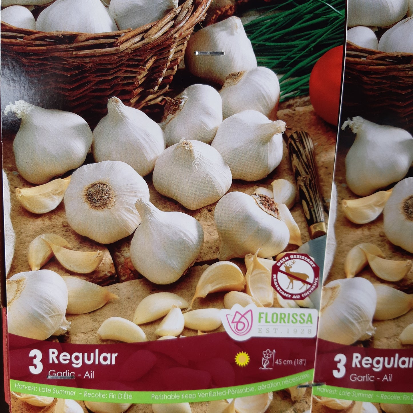 Garlic Bulbs