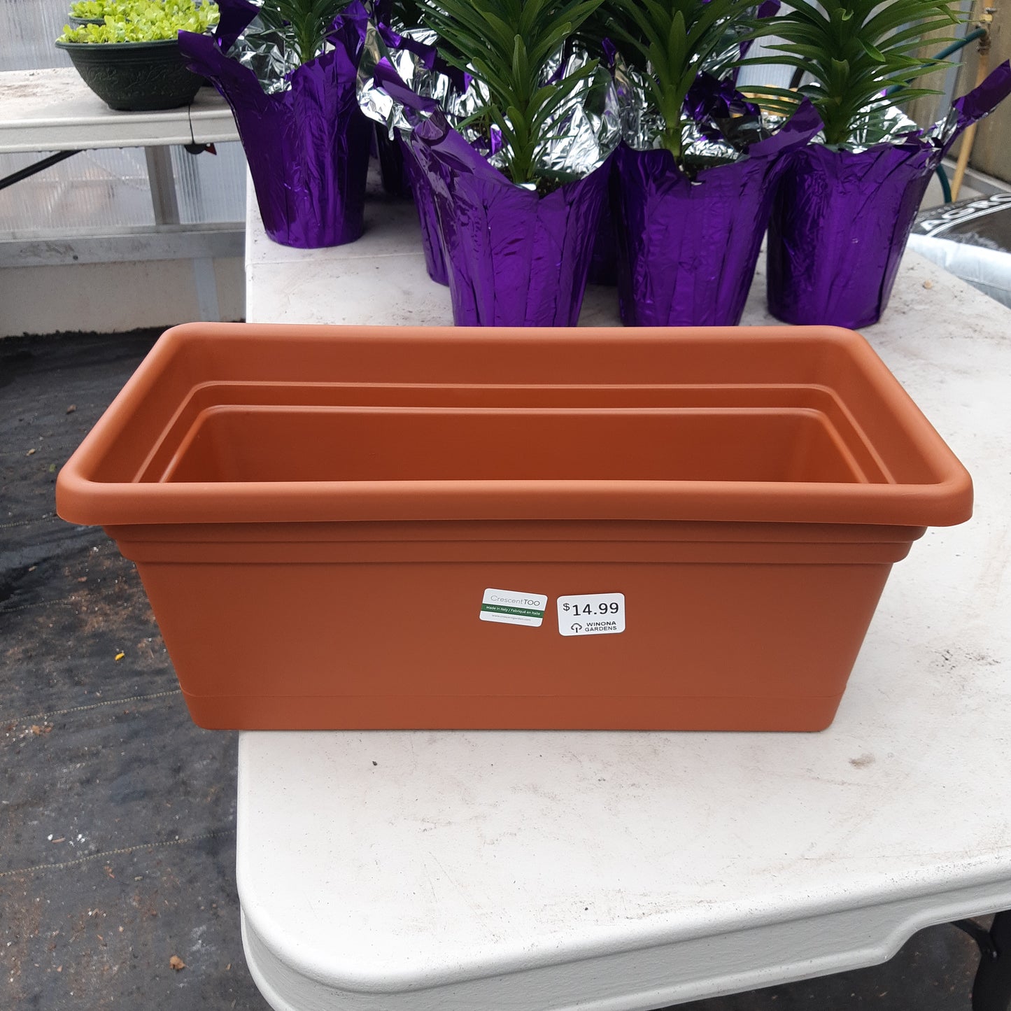 Rectangle Planters with Saucer Attached Various Sizes (Emma)