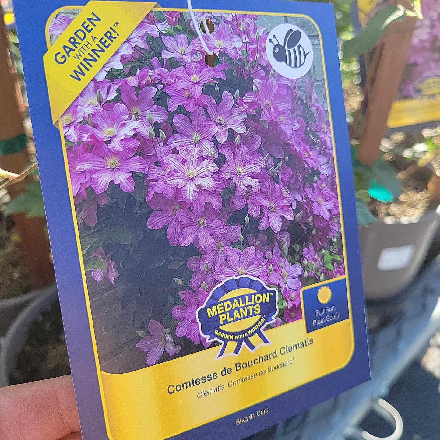 1 Gal Clematis