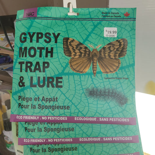 Gypsy Moth Trap & Lure