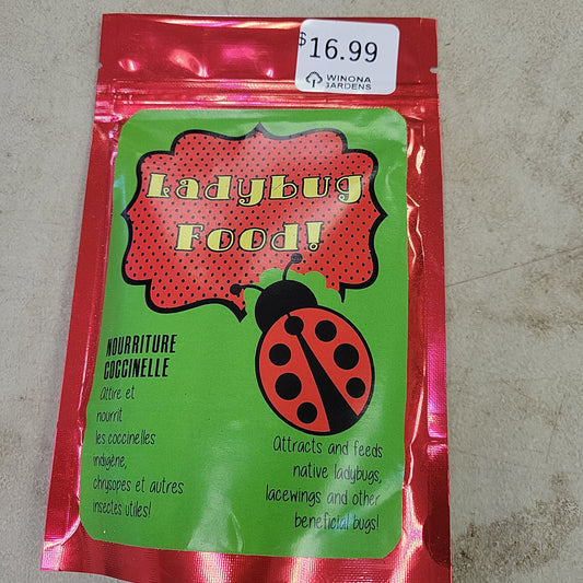 Ladybug Food