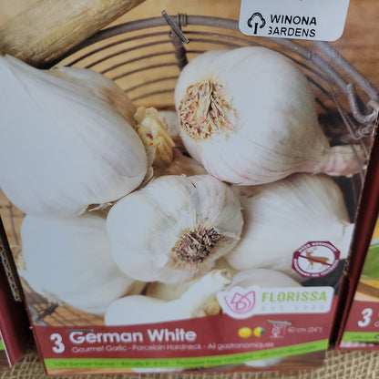 Garlic Bulbs