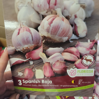 Garlic Bulbs