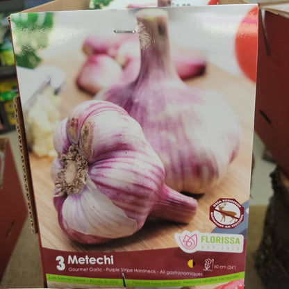 Garlic Bulbs