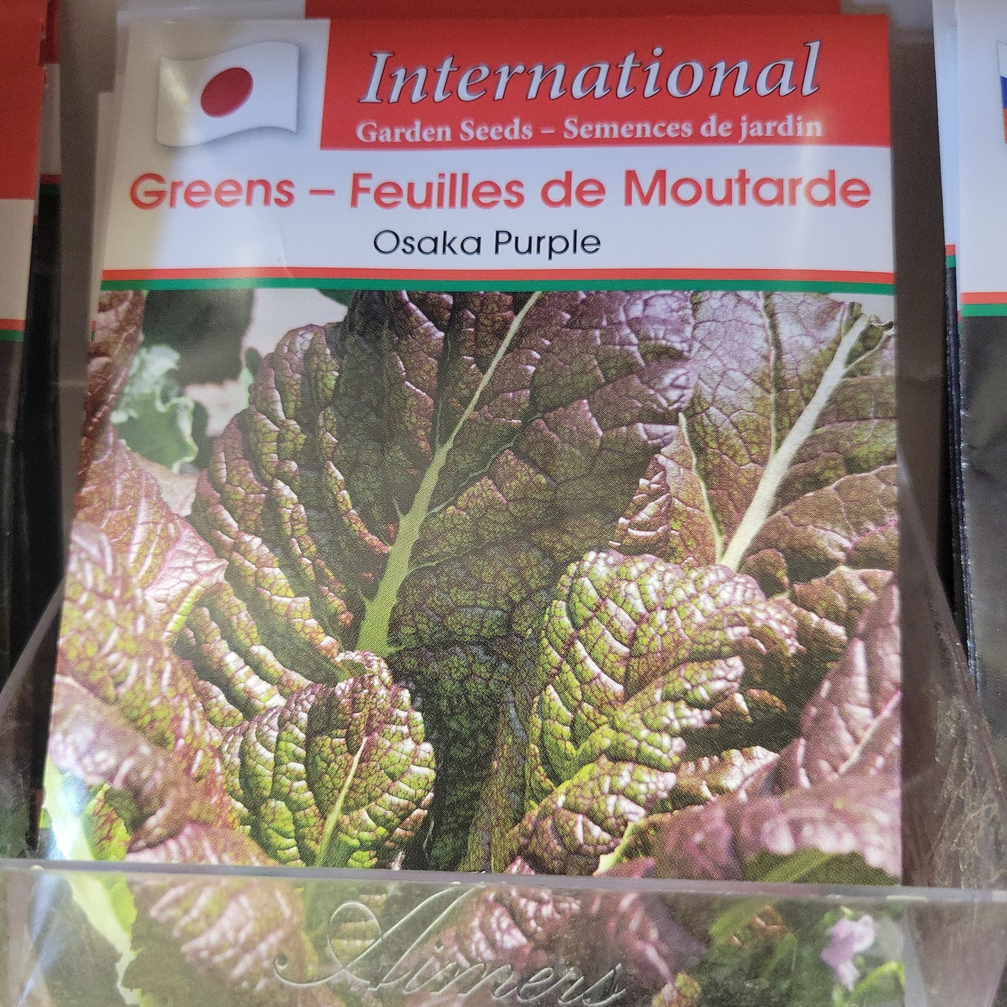 Seed Packets - International