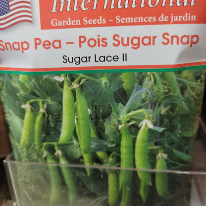 Seed Packets - International