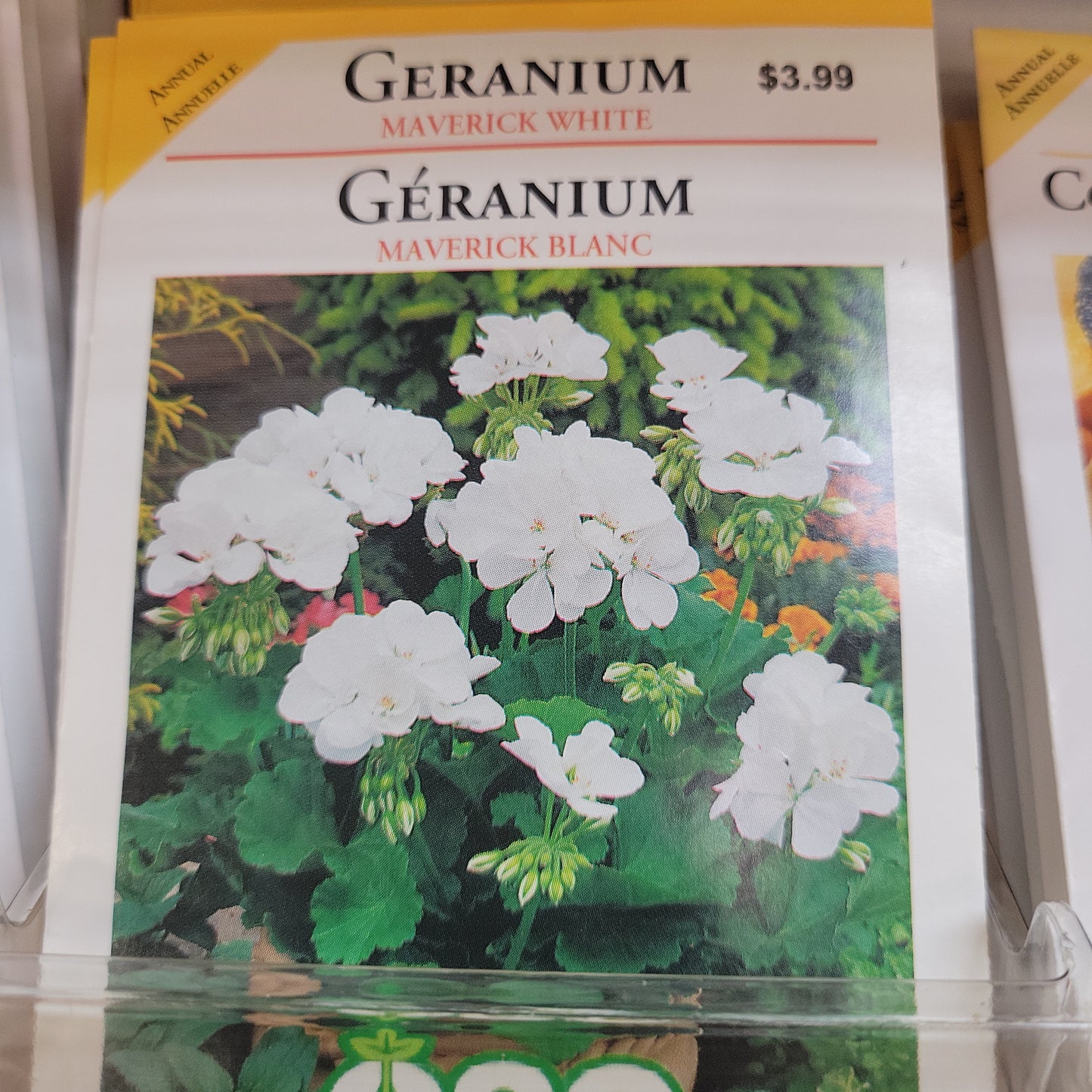 Seed - Annual (Geraniums)