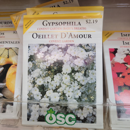 Seed Packets -  Gypsophila