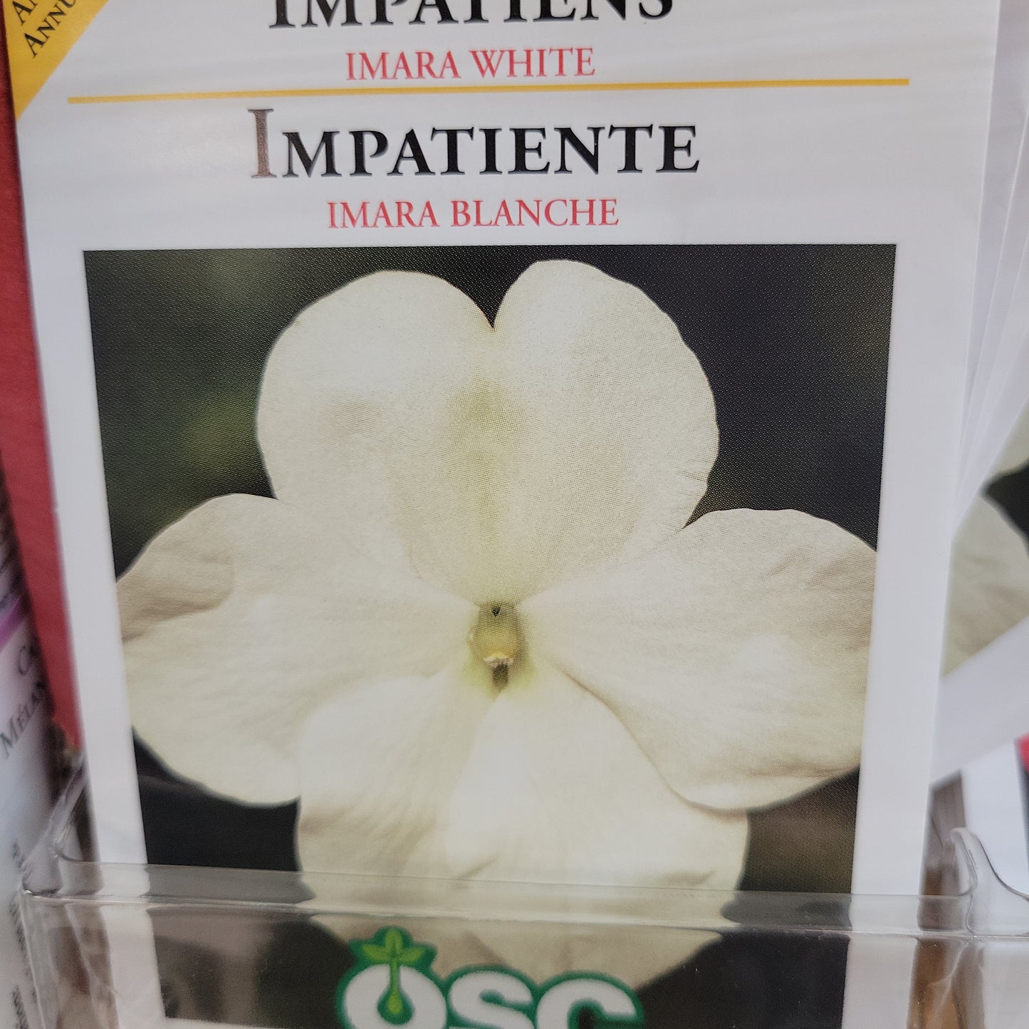 Seed Packets - Impatiens