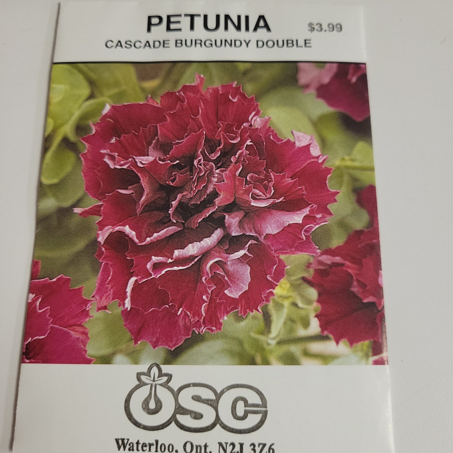 Seeds - Annuals (Petunia)