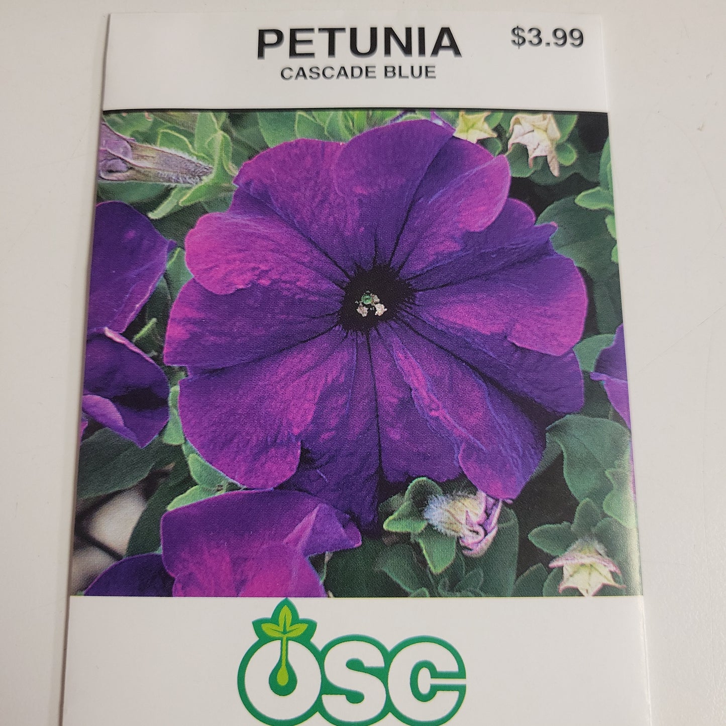 Seeds - Annuals (Petunia)