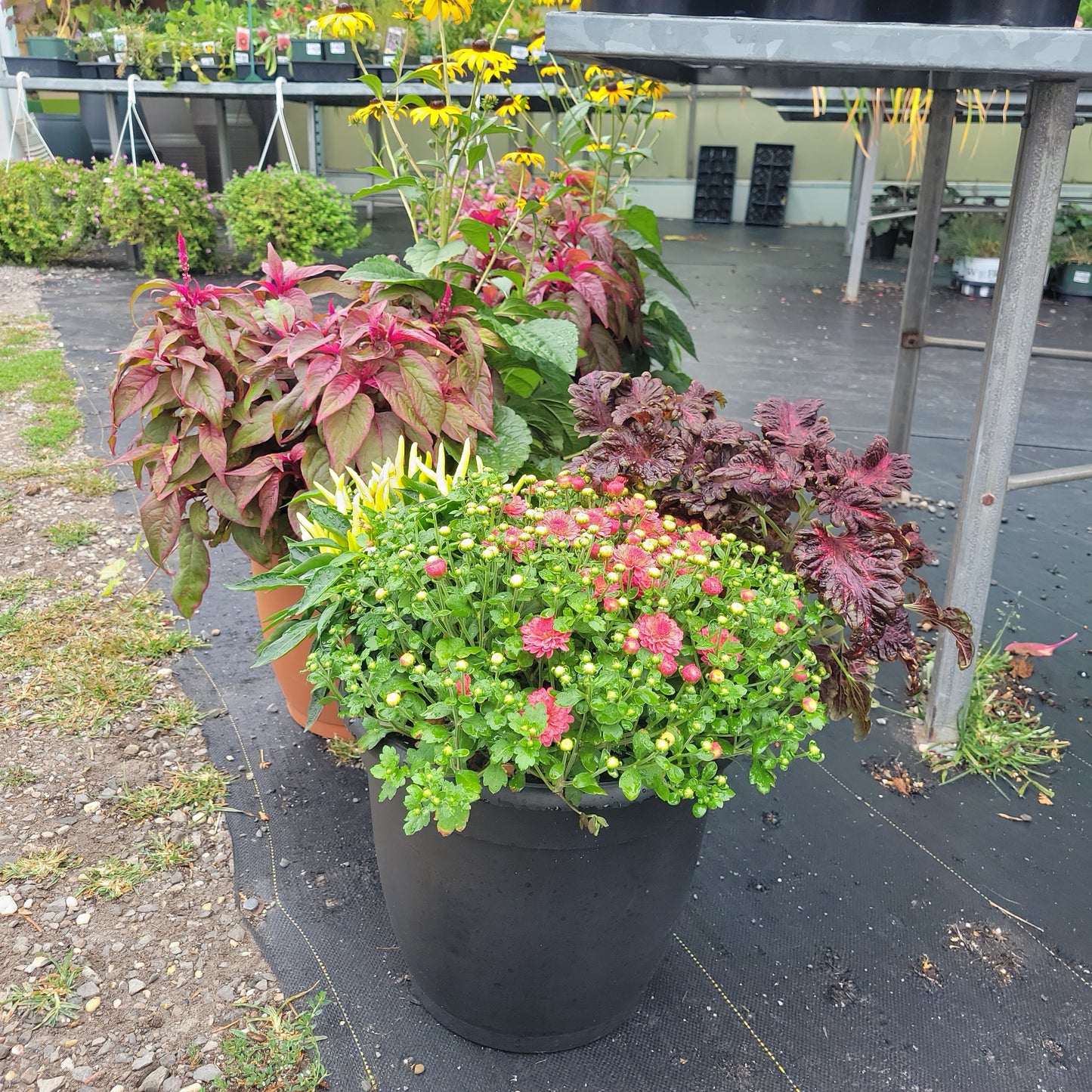 13" Mixed Fall Planter