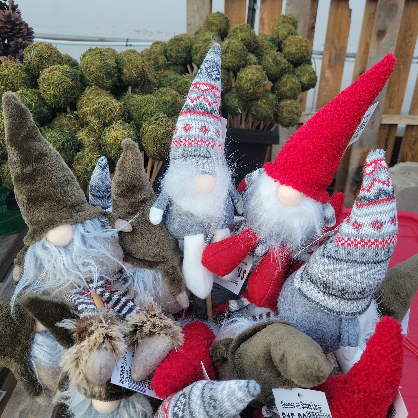 Gnomes on Sticks