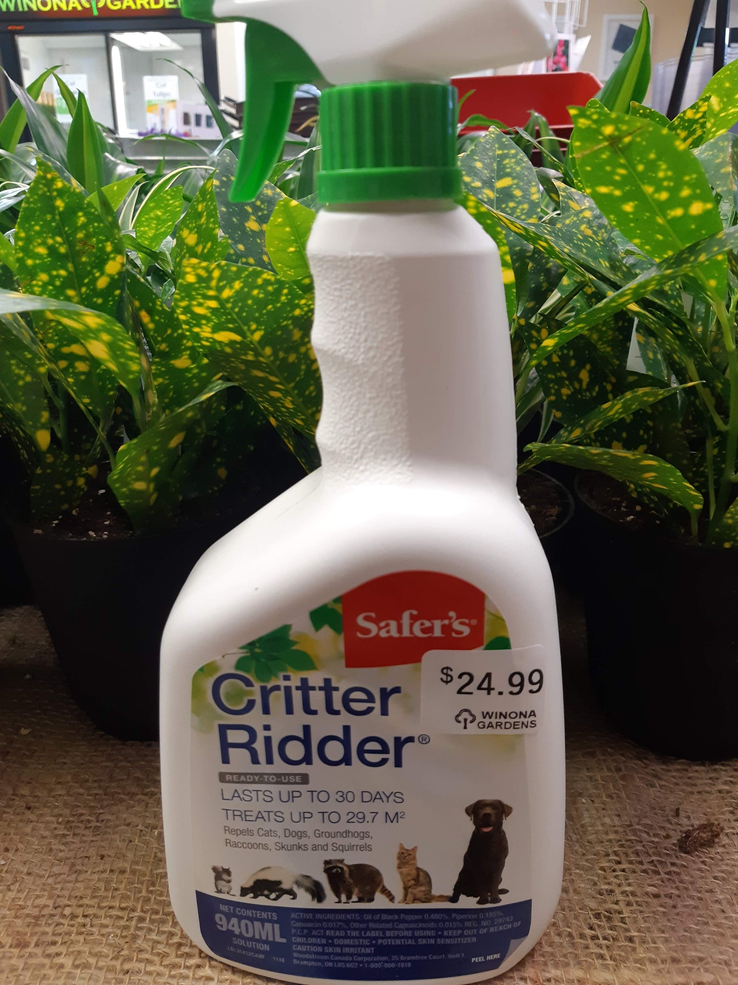 Critter Ridder