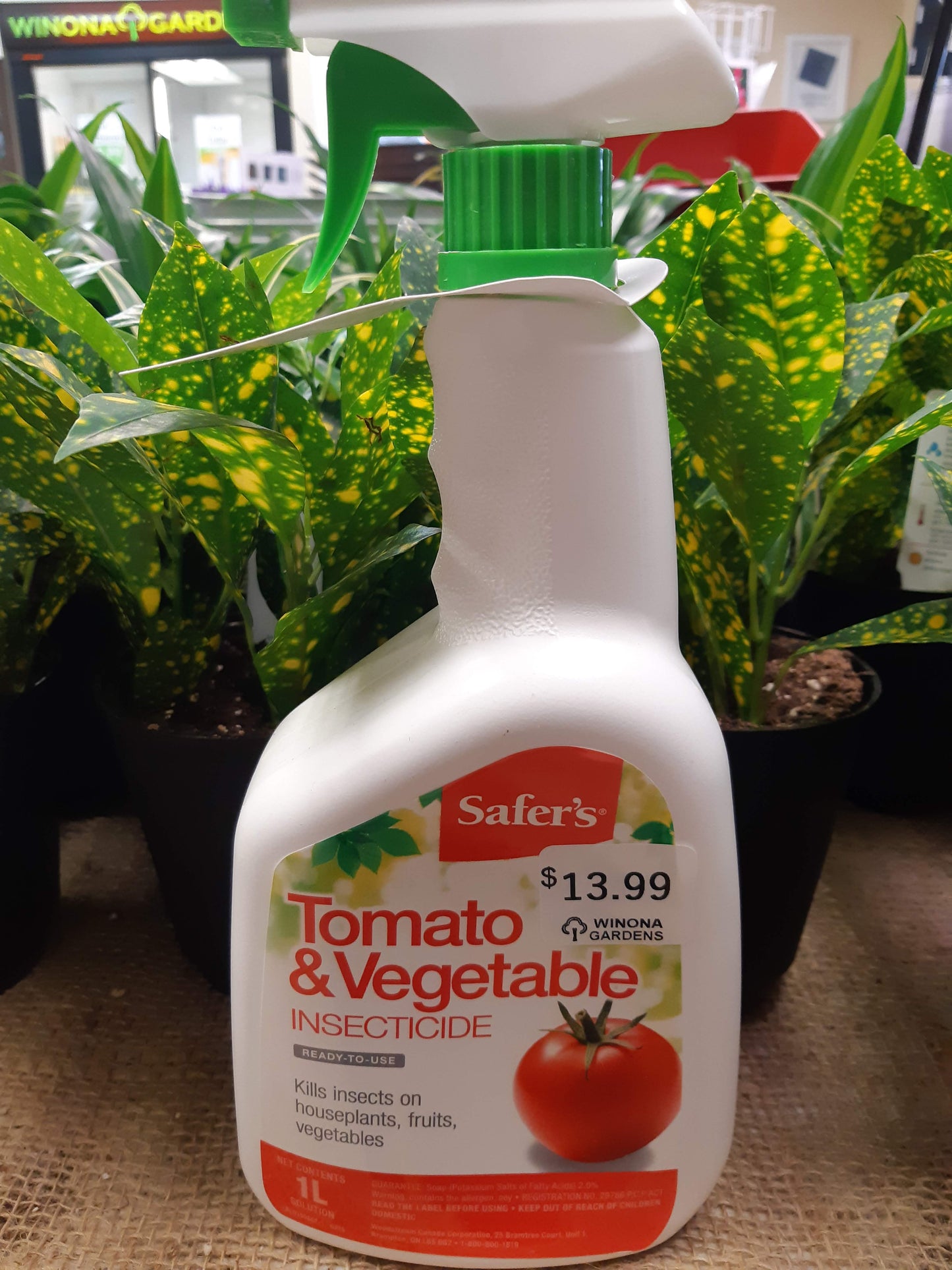 Safer's Tomato and Vegetable Insecticide 1L RTU