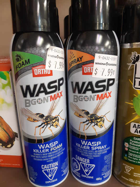 Wasp B Gon Max