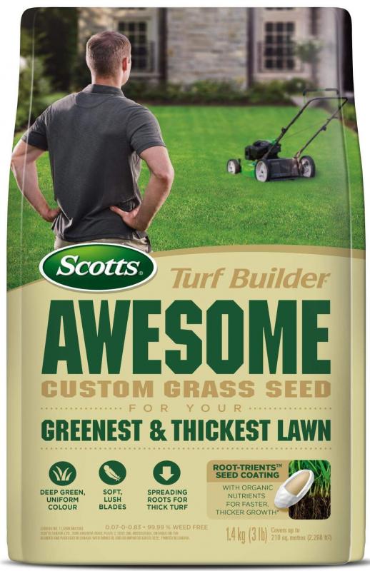 Scotts Turf Builder Grass Seeds