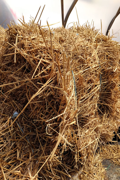 Straw Bales