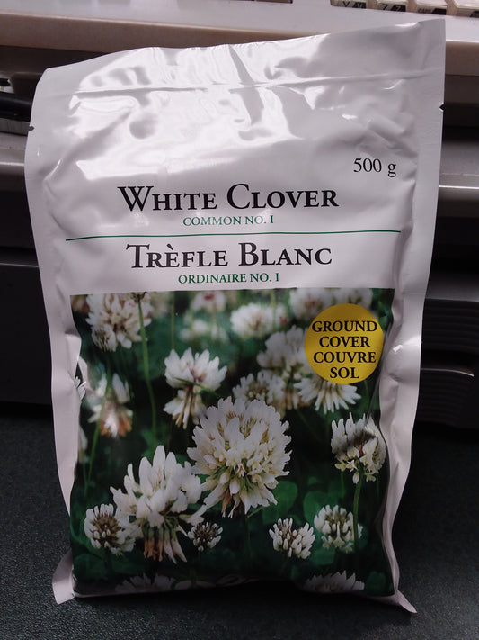 White Clover Seed