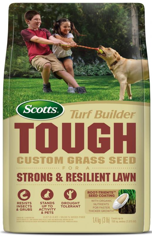 Scotts Turf Builder Grass Seeds