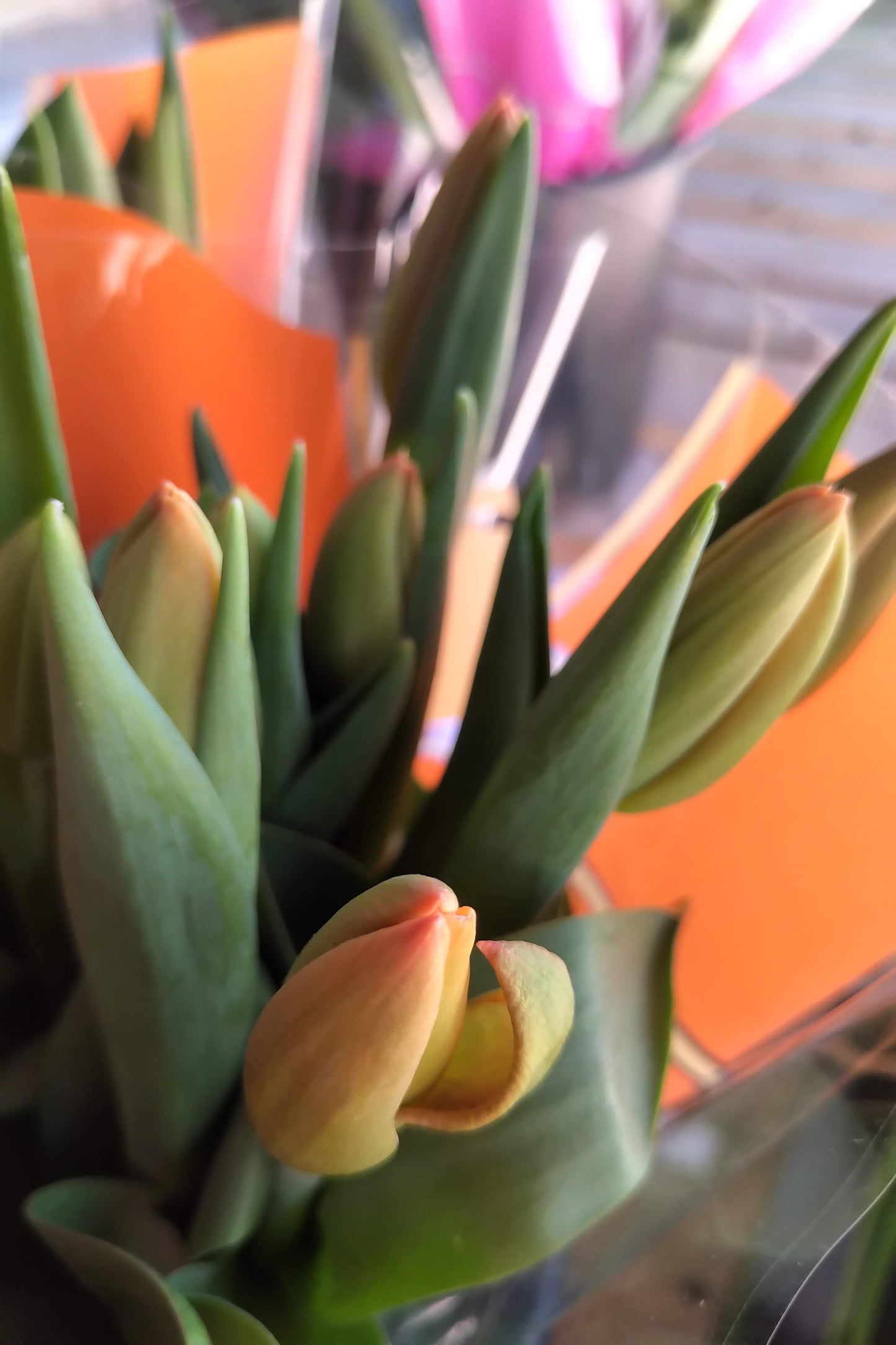 Cut Tulips - Long Stem