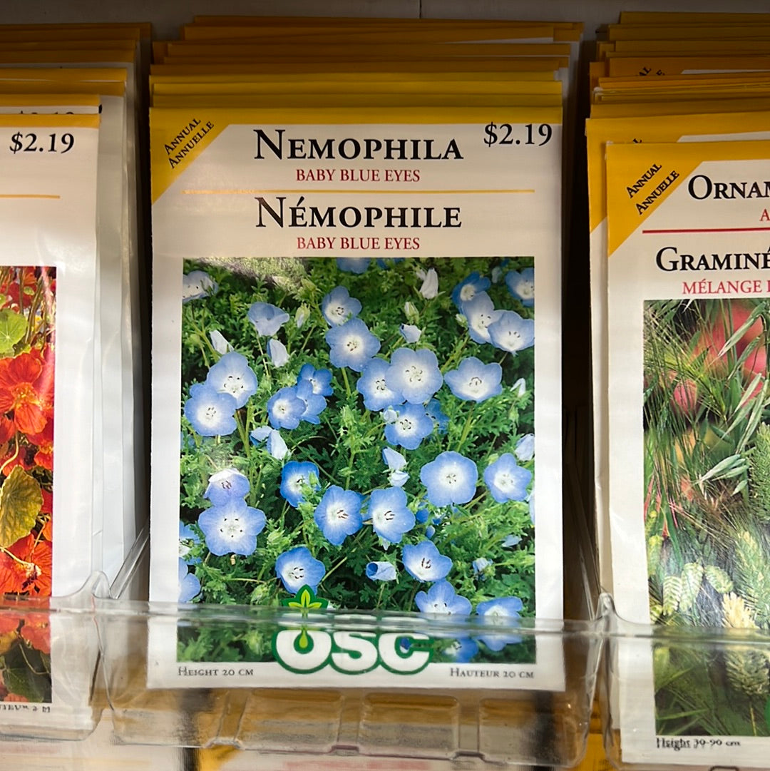 Seed Packets - Annuals