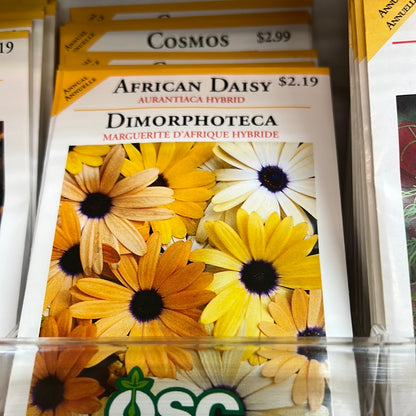 Seed Packets - Annuals