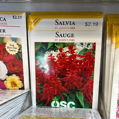 Seed Packets - Annuals