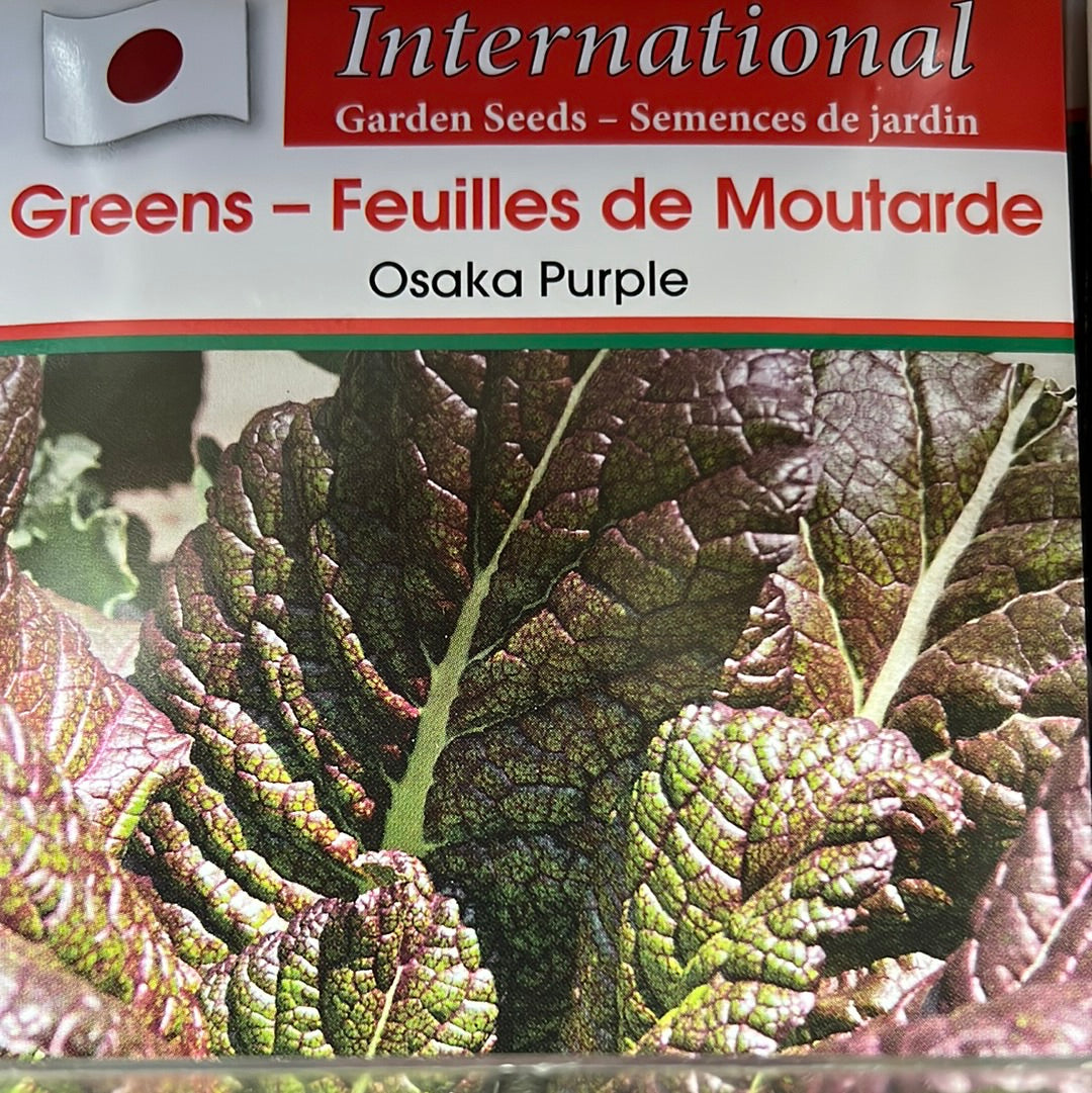 Seed Packets - International