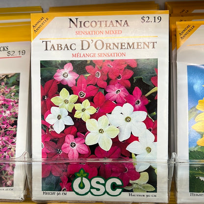 Seed Packets - Annuals