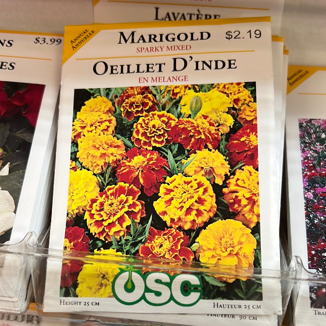 Seed Packets - Annuals