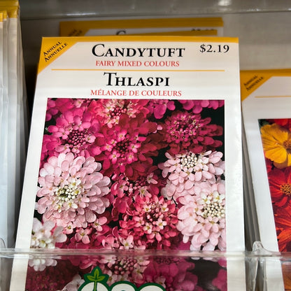 Seed Packets - Annuals