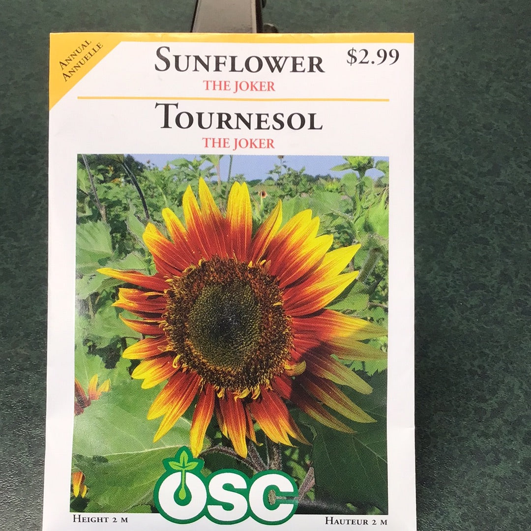 Seed Packets - Annual (Sunflower)