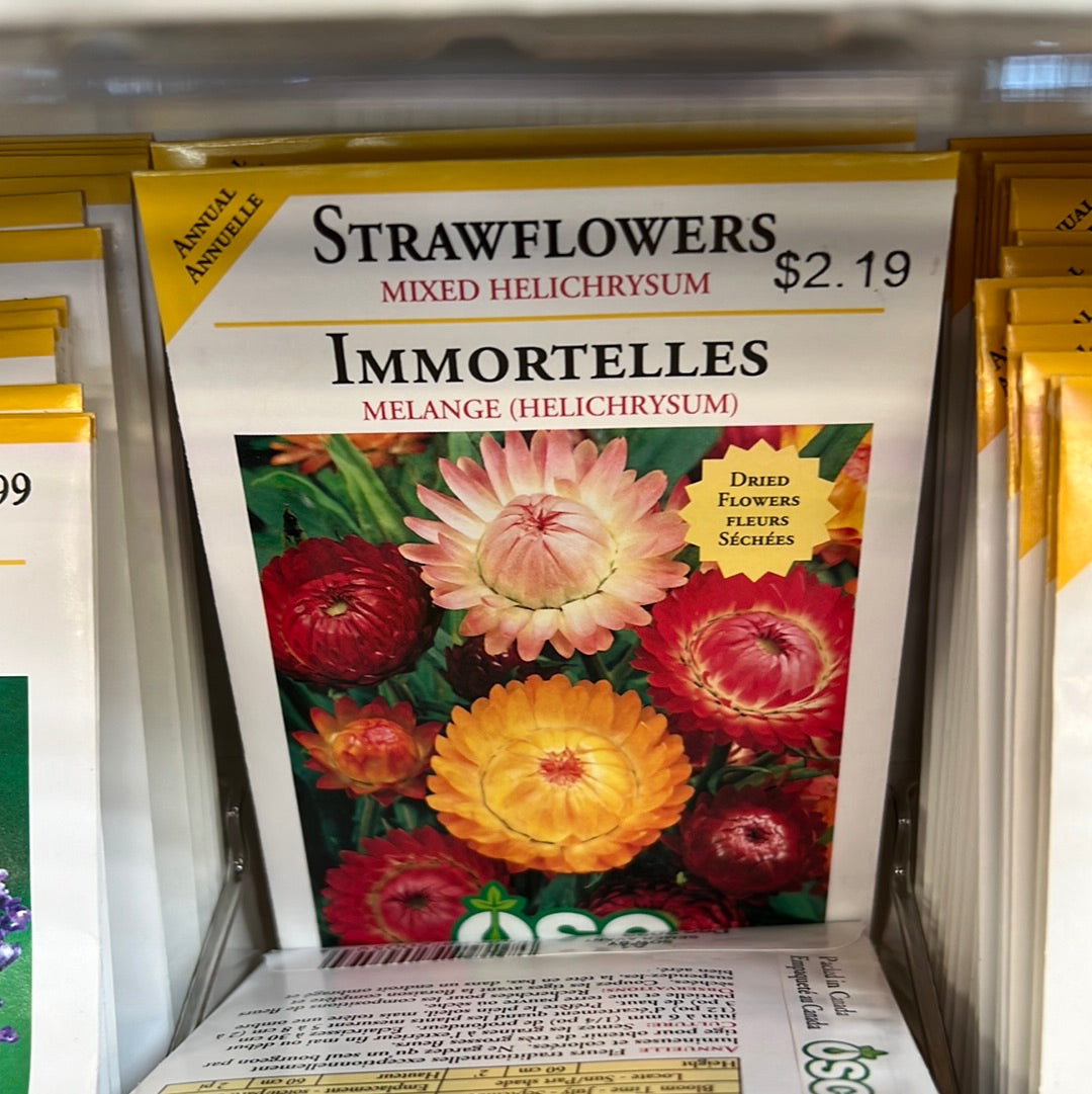 Seed Packets - Annuals