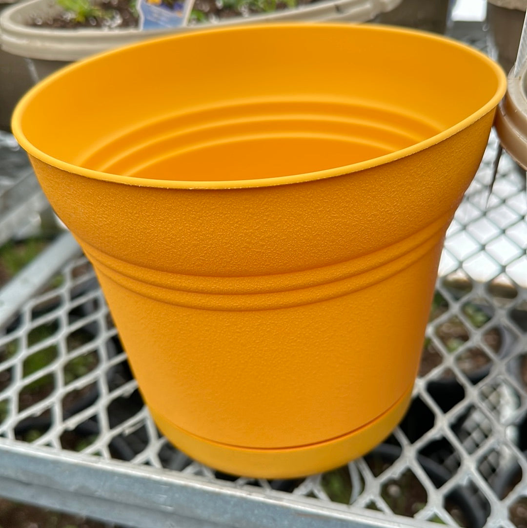 Saturn indoor/outdoor pots with attached drip tray