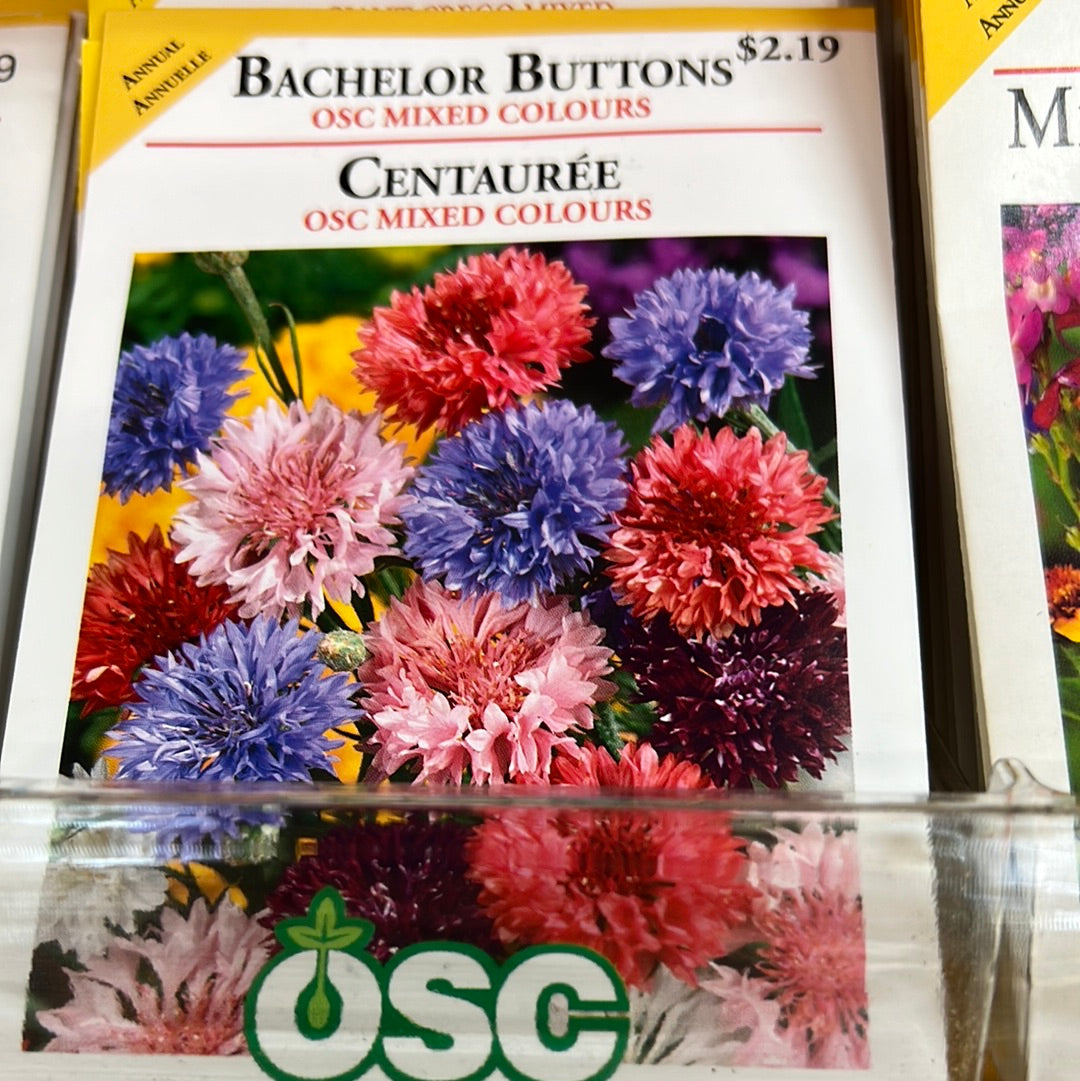 Seed Packets - Annuals