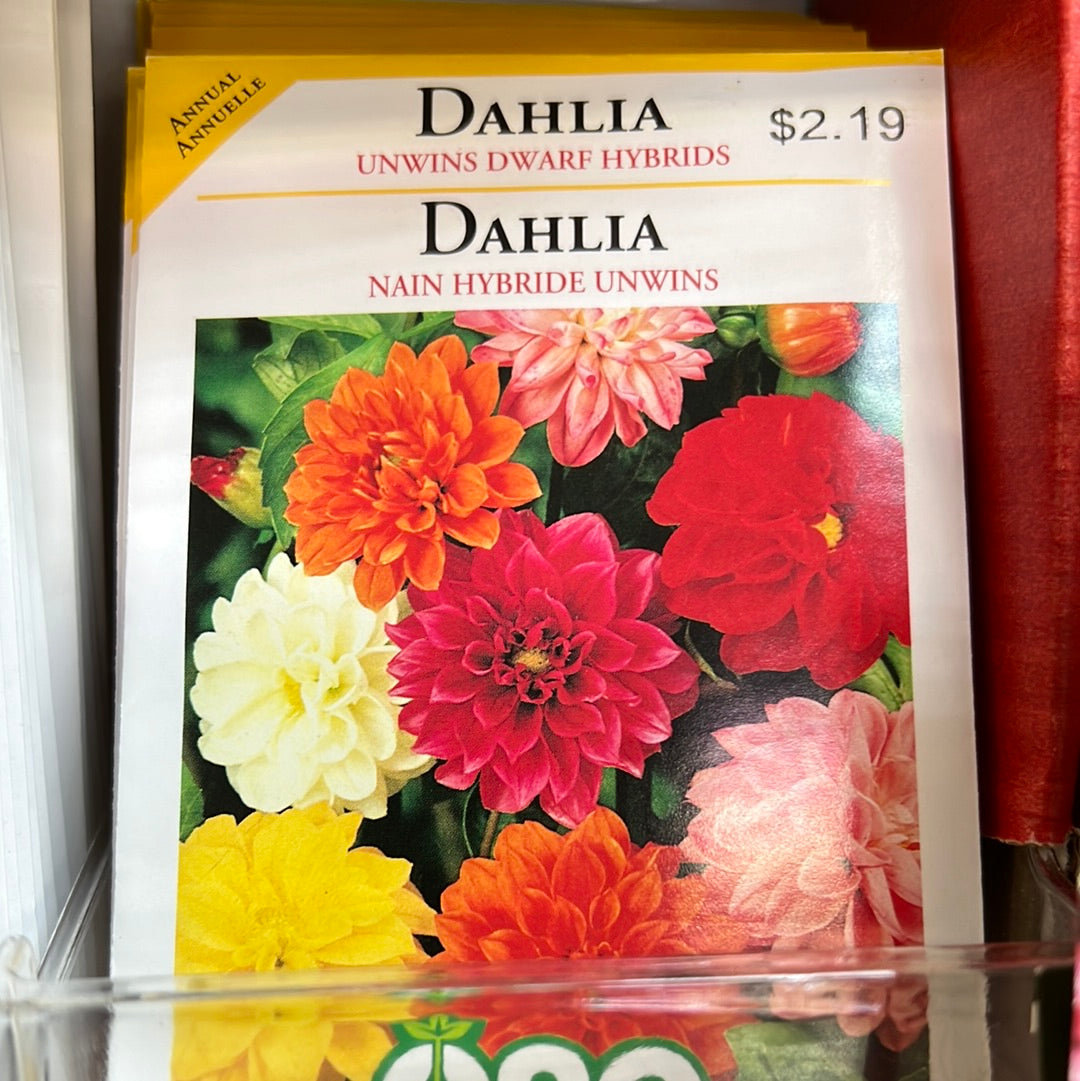 Seed Packets - Annuals