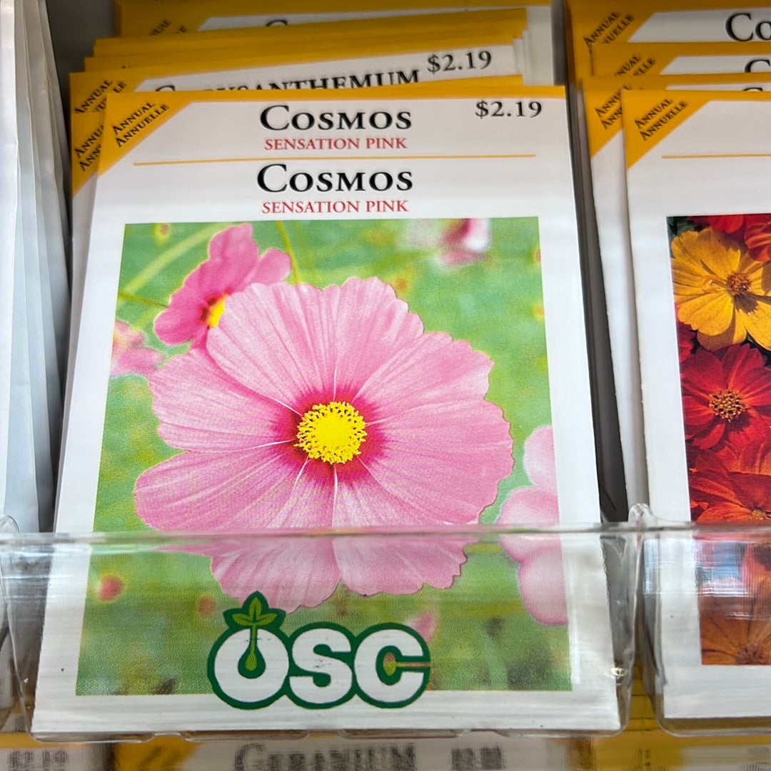 Seed Packets - Annuals