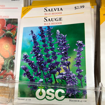 Seed Packets - Annuals