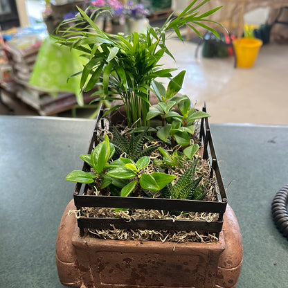 Rusty Truck Planter