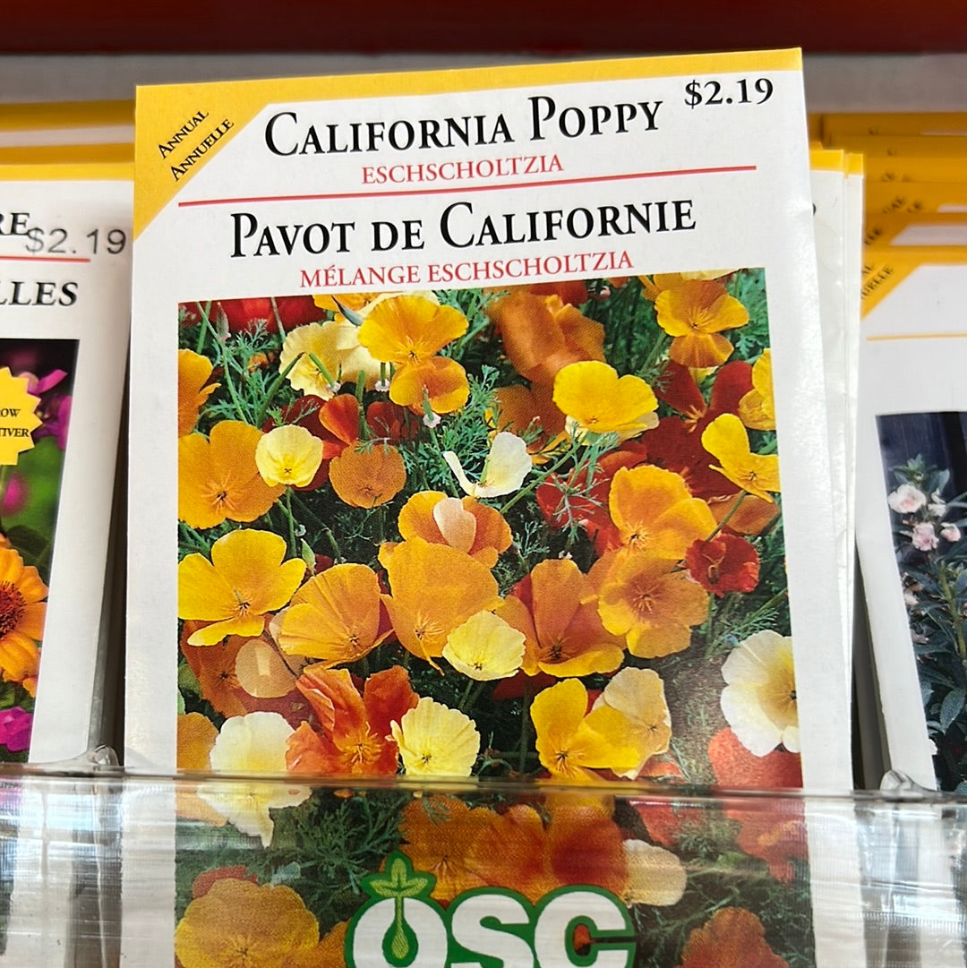 Seed Packets - Annuals