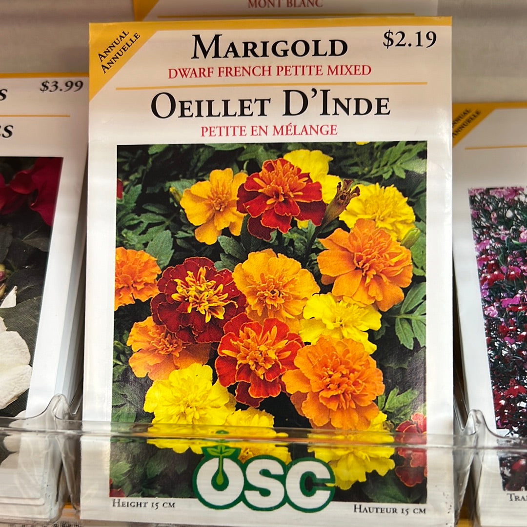 Seed Packets - Annuals